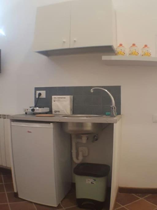 Loft Ortensia Garden Wifi Air Conditioning Florence Extérieur photo