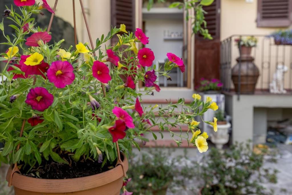 Loft Ortensia Garden Wifi Air Conditioning Florence Extérieur photo